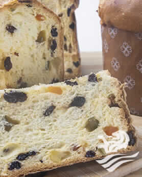 Panetone Madre